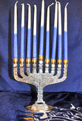 Menorahs & Chanukiahs