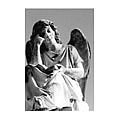 Angel Collection