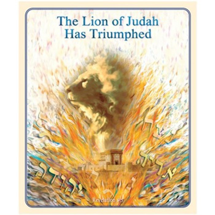 LION OF JUDAH HAS TRIUMPHED - BLANKET