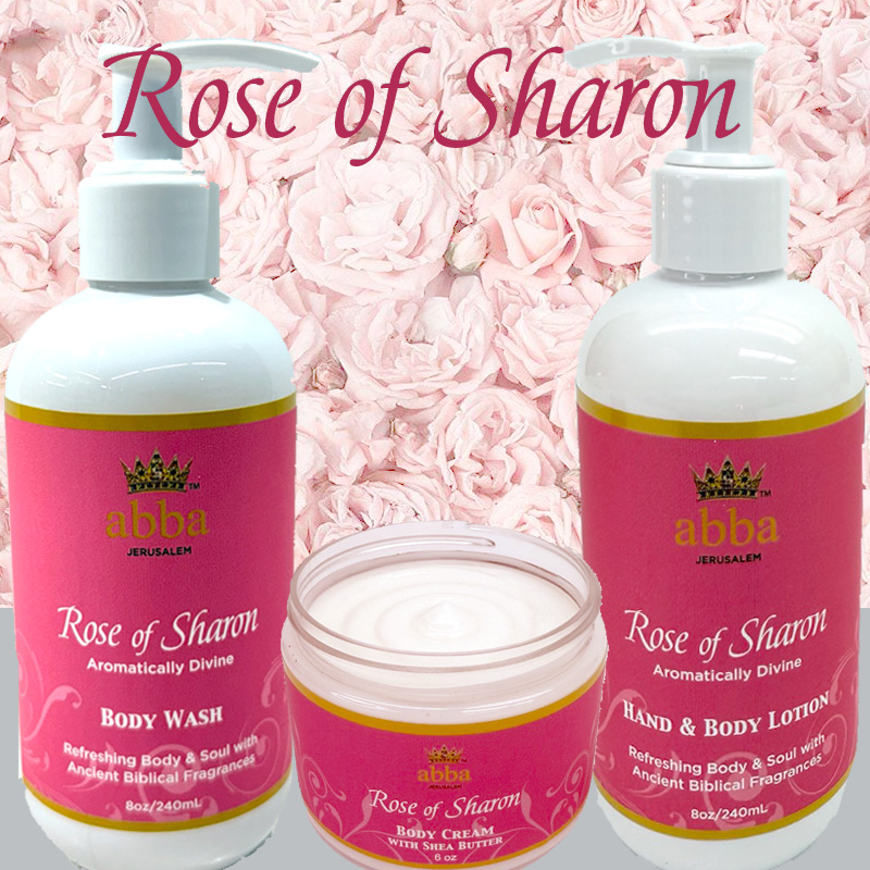 COMING SOON! Rose of Sharon