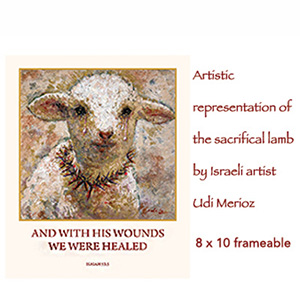 SACRIFICIAL LAMB PRINT FROM ISRAEL