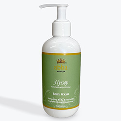 HYSSOP BODY WASH W/ PUMP 8 OZ