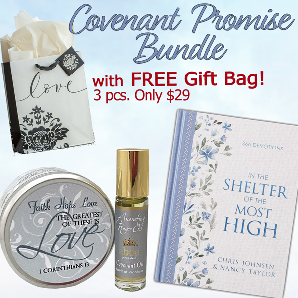COVENANT PROMISE BUNDLE WITH "FREE" GIFT BAG