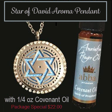 Diffuser Pendant - Star of David & 1/4oz Covenant Oil w/ Blue & Pink felt in Organza Pouch