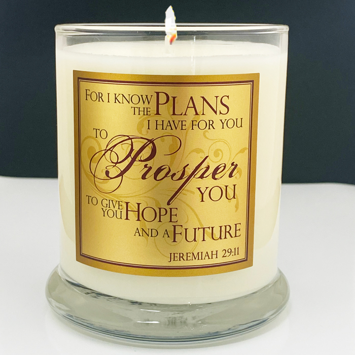 "I KNOW THE PLANS" GLASS CANDLE - POMEGRANATE
