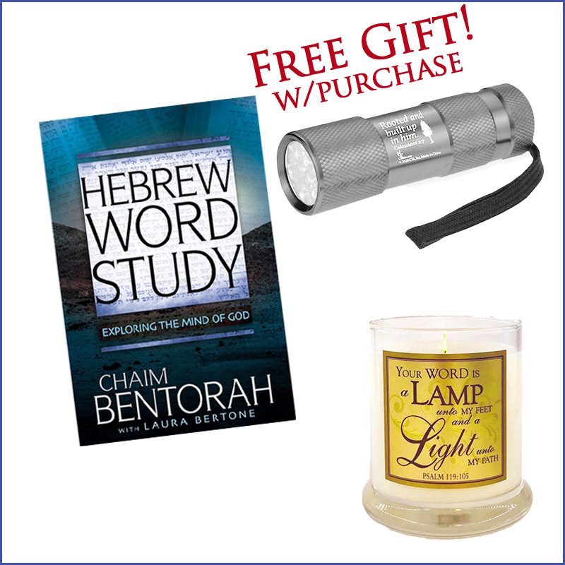 EXPLORING THE MIND OF GOD WITH LAMP CANDLE & FLASHLIGHT