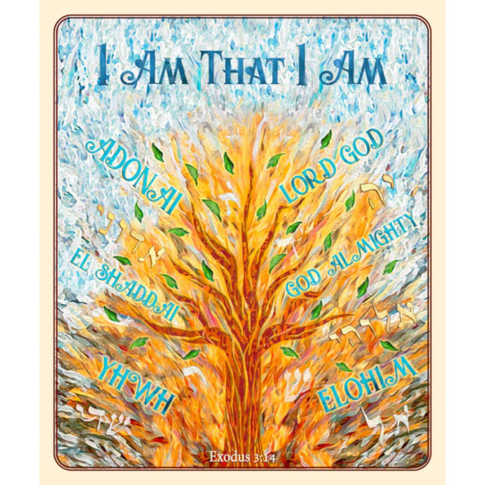 BLANKET - I AM THAT I AM (48X60)