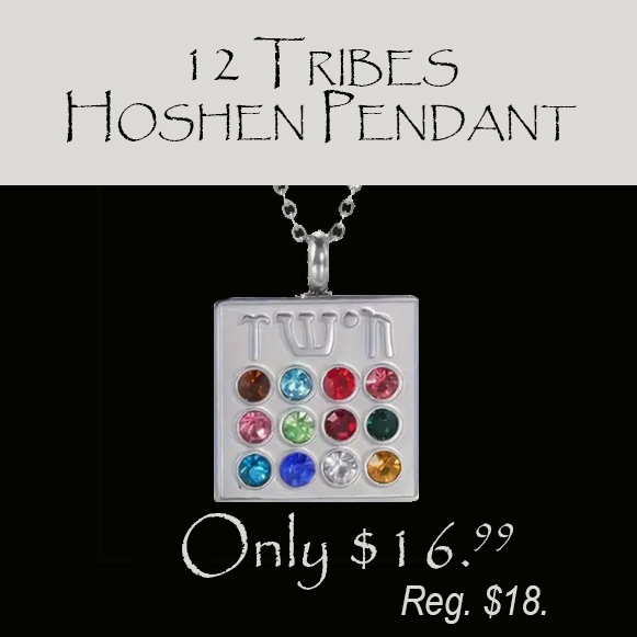 1 FOR $16.99 - STAINLESS "HOSHEN - 12 TRIBES" PENDANT