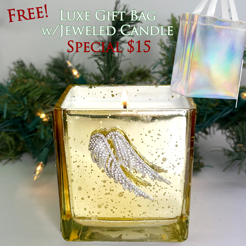 MERCURY GLASS RHINESTONE WINGS "WINTER WONDERLAND" W/SILVER BAG